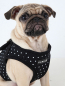 Puppia Softgeschirr Dotty Jacket PAHA-AH301[Details]